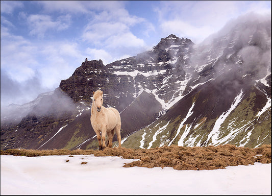 MICBLA141958 You Looking At Me, by Michael Blanchette Photography, available in multiple sizes - Chamton