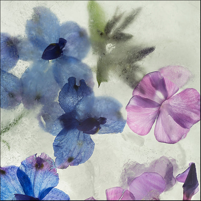 Flores en Hielo I , available in multiple sizes