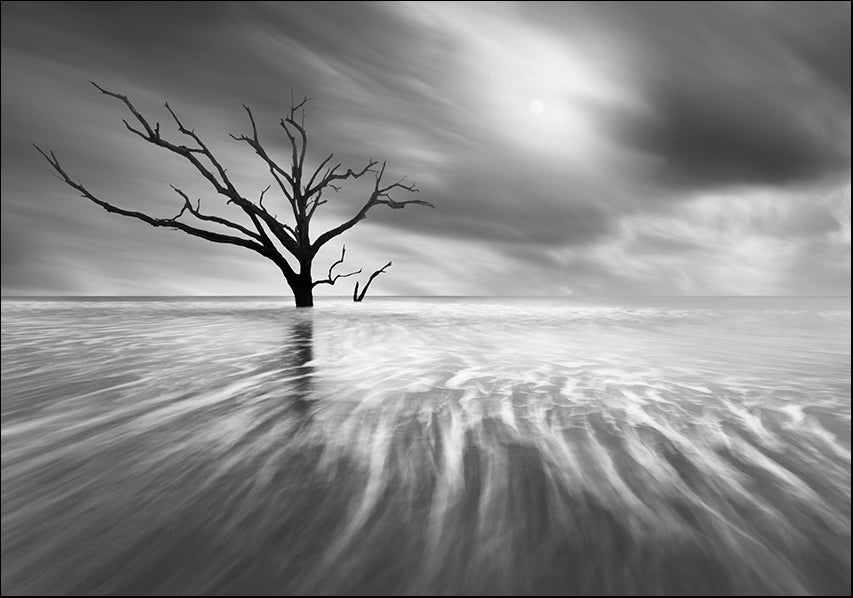 MOILEV145225 Searching For Life, available in multiple sizes