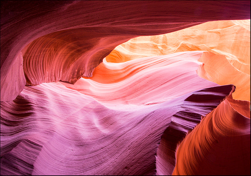 MOILEV145783 Light on Antelope 2, available in multiple sizes