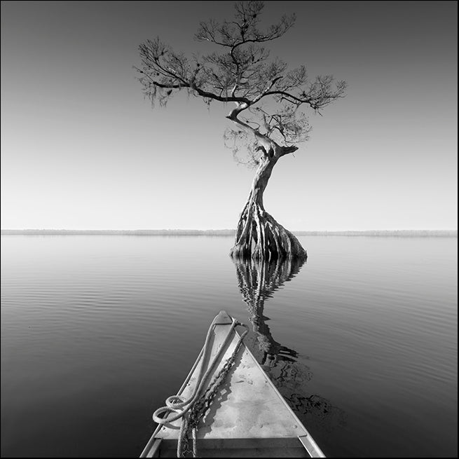 MOILEV154766 Alone with My Tree, available in multiple sizes