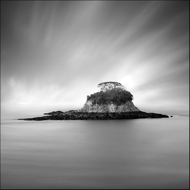 MOILEV154820 Silent Island, available in multiple sizes - Chamton
