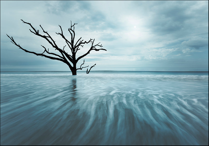 MOILEV154822 Searching For Life, available in multiple sizes - Chamton