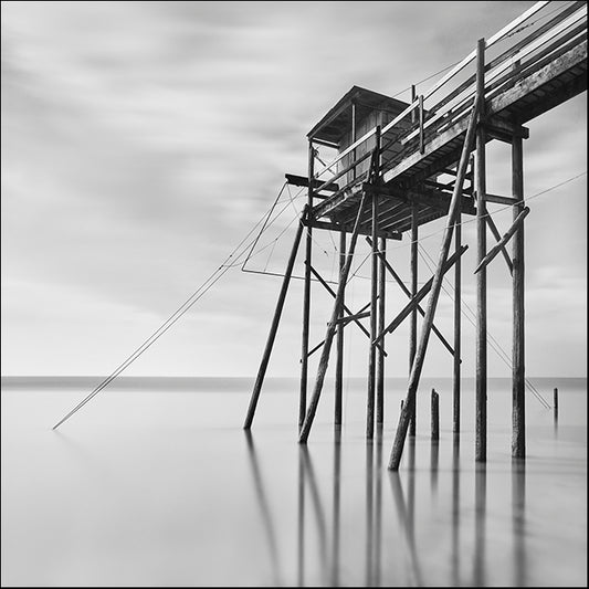MOILEV172814 Sea Geometry 1 , available in multiple sizes