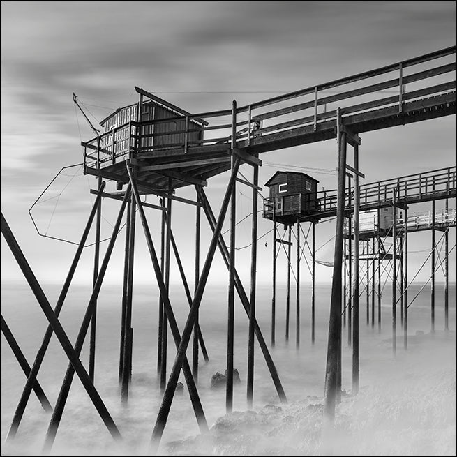 MOILEV172817 Sea Geometry 4 , available in multiple sizes