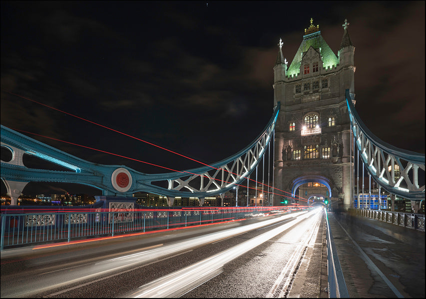 MOILEV172823 Speed Night 4, available in multiple sizes - Chamton