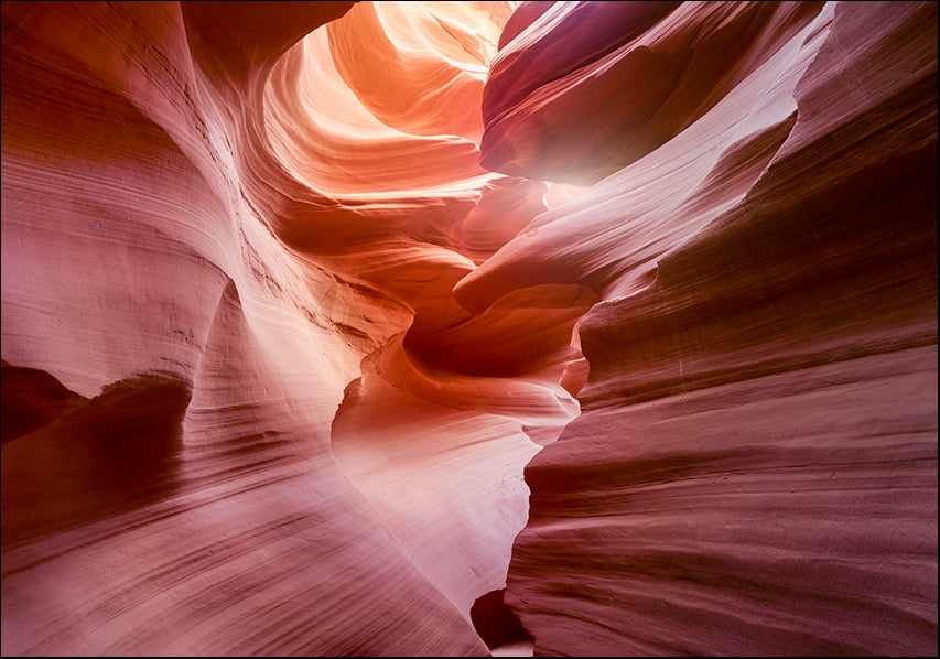 MOILEV172825 Canyon, available in multiple sizes