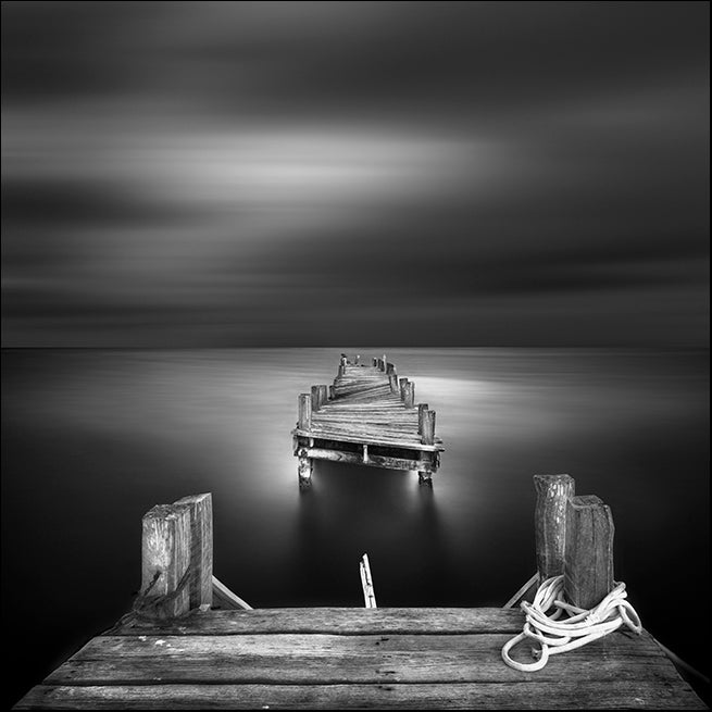 MOILEV174019 In Despair, available in multiple sizes