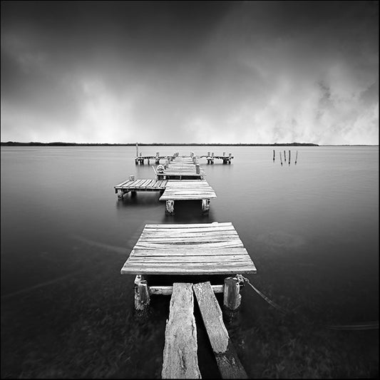 MOILEV87941 Jumping the Jetty , available in multiple sizes