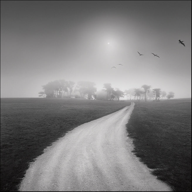 MOILEV87952 Destiny in the Horizon, available in multiple sizes