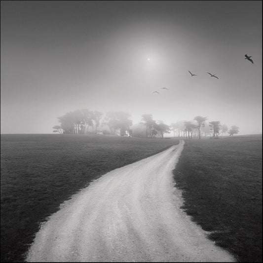 MOILEV87952 Destiny in the Horizon, available in multiple sizes
