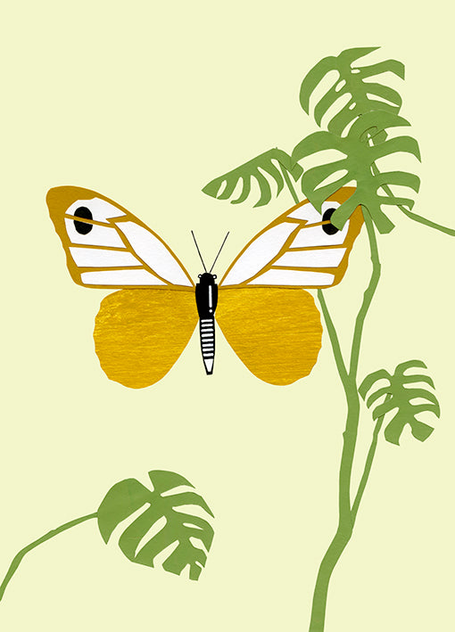 100656 Butterfly, by Marie, available in multiple sizes