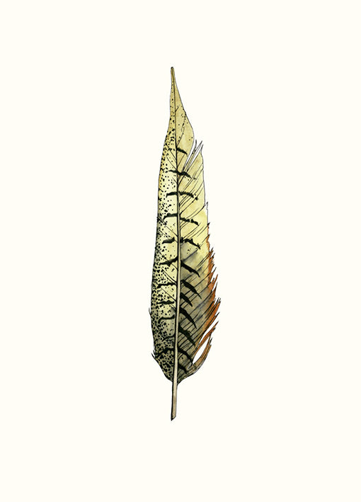 90926 Feather Illustration, by Marie, available in multiple sizes