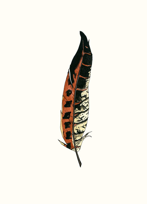 90928 Feather Illustration, by Marie, available in multiple sizes