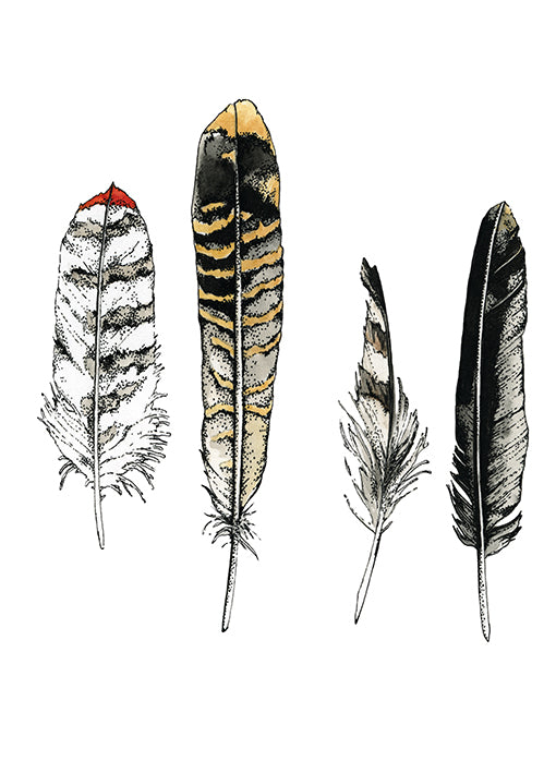 99663 Curiosity Collectables No. 1, by Marie, available in multiple sizes