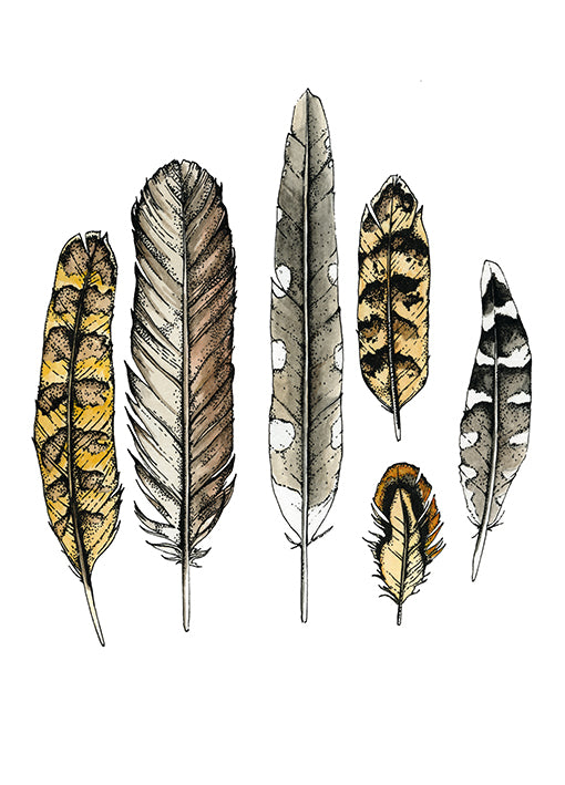 99667 Curiosity Collectables No. 5, by Marie, available in multiple sizes - Chamton