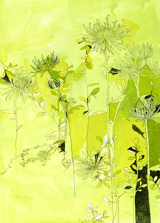 88897 Chrysanthemum in Green Tones, Marin, available in multiple sizes