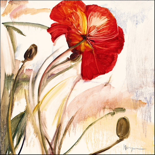 70455 Crimson Poppy 1, by Marysia, available in multiple sizes