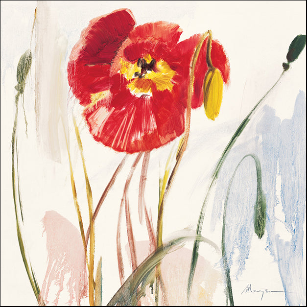 70457 Crimson Poppy 3, by Marysia, available in multiple sizes