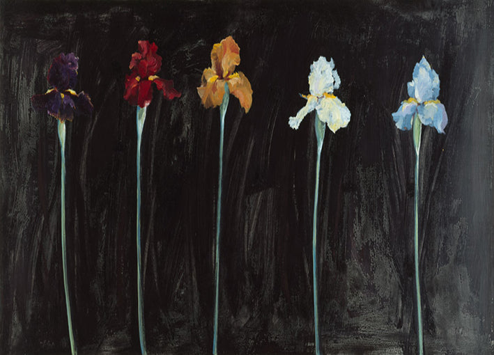 Marysia,75068 Midnight Irises, by Marysia Burr available in multiple sizes