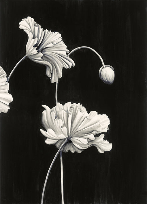 85988 in Bloom A, by Mathers, available in multiple sizes