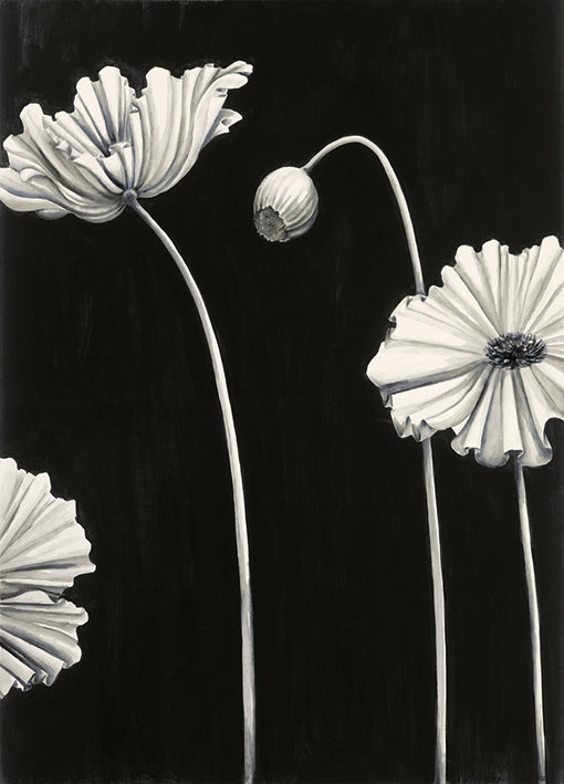 85989 in Bloom B, by Mathers, available in multiple sizes