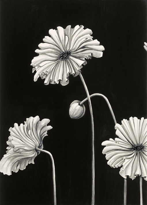 85990 in Bloom C, by Mathers, available in multiple sizes