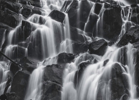 Matias,92970 Untitled , by Jason Matias available in multiple sizes