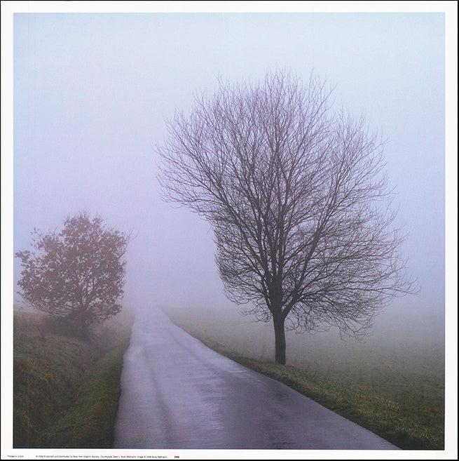 NYGS 5992 Countryside Dawn 1 by Ilona Wellmann 50x50cm on paper