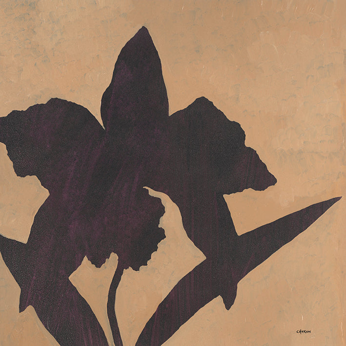 OCHA-224, Orchid I, available in multiple sizes