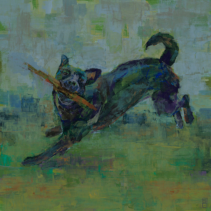 ODAG-107, Playtime II, available in multiple sizes - Chamton