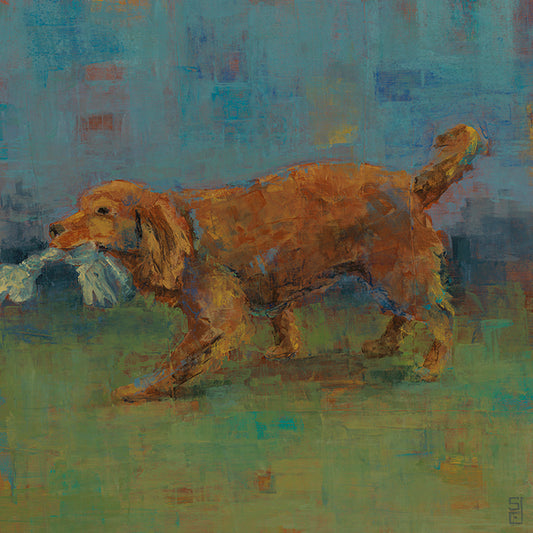 ODAG-109, Playtime IV, available in multiple sizes