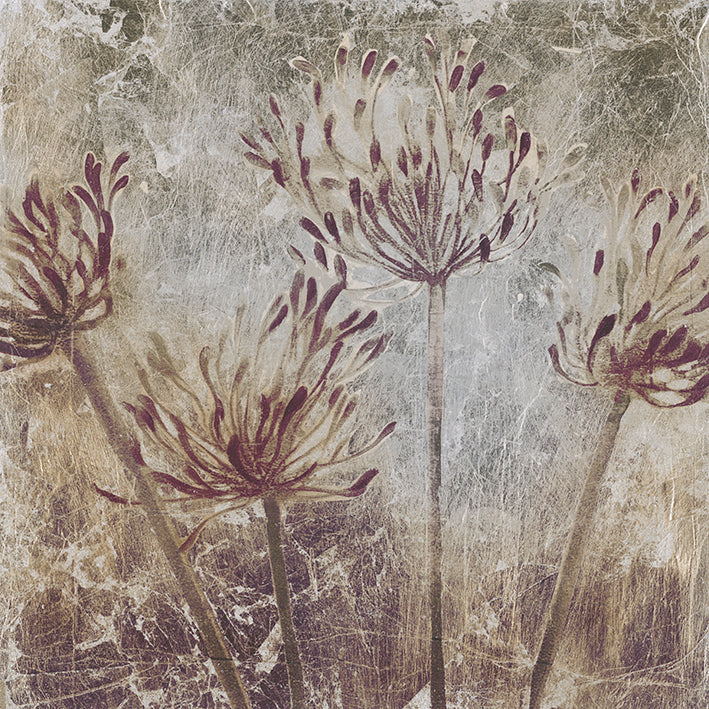 OJAR-1303, Floral Dream, available in multiple sizes