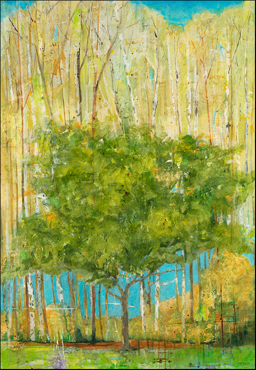 OMAR-154 Memory by Jill Martin, available in multiple sizes - Chamton