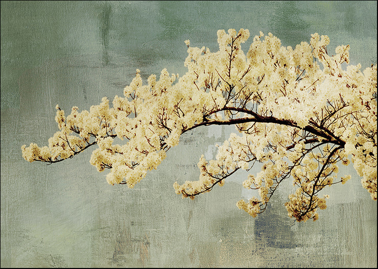 PA087-A Snowfall, available in multiple sizes