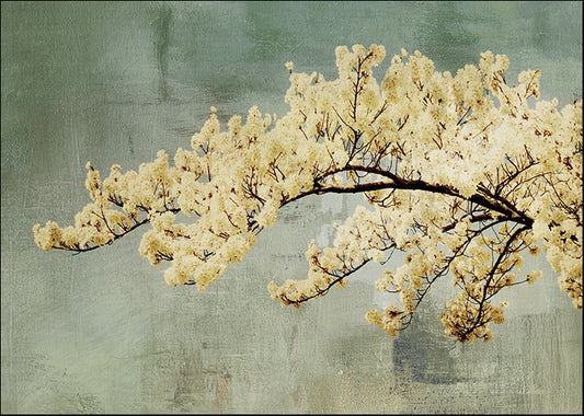 PA087-A Snowfall, available in multiple sizes