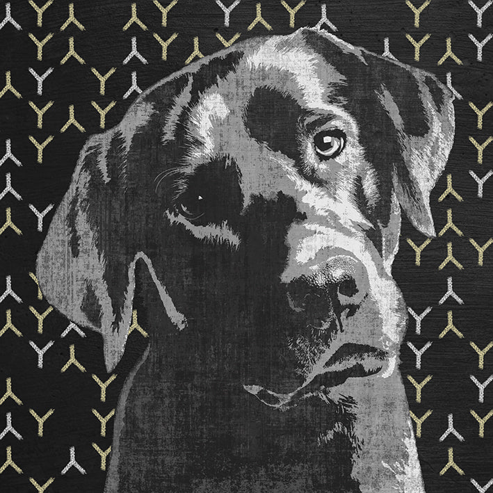 PA871-A - Innocent Labrador , available in multiple sizes