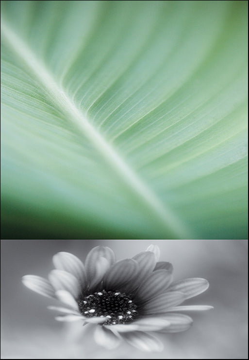 PBRO-106 To Tell I by Jennifer Broussard, available in multiple sizes