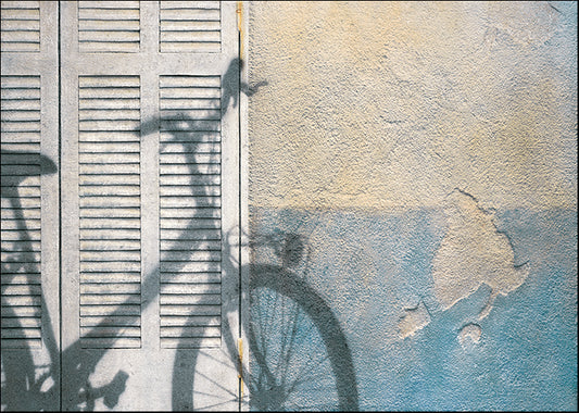 PCIS-103 Bicycle Shadow by Josep Cisquella, available in multiple sizes - Chamton