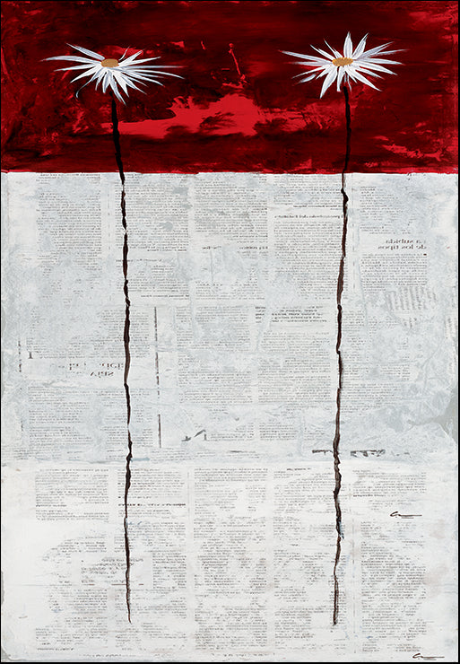 PGIM-107 A Daisy For You II by Carmen Gimenez, available in multiple sizes