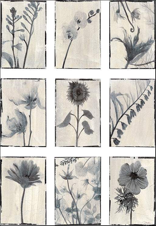 PJAR-131 Silk Botanicals by Liz Jardine, available in multiple sizes