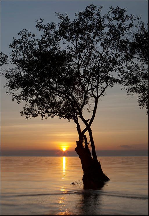PMAT-113 Sunset Silhouette by Aaron Matheson, available in multiple sizes - Chamton