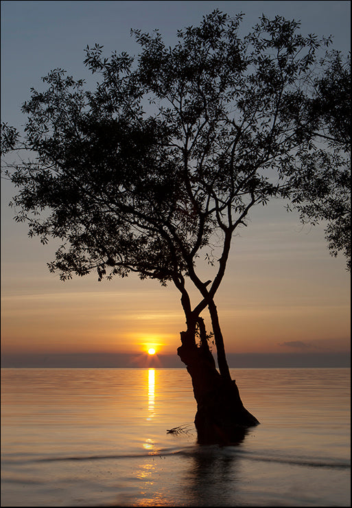PMAT-113 Sunset Silhouette by Aaron Matheson, available in multiple sizes