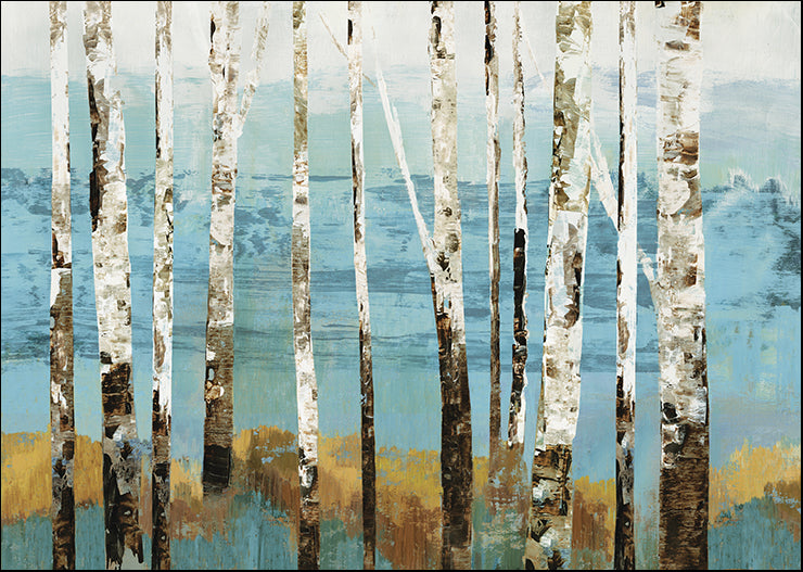 PS033-A Birch Reflection, available in multiple sizes