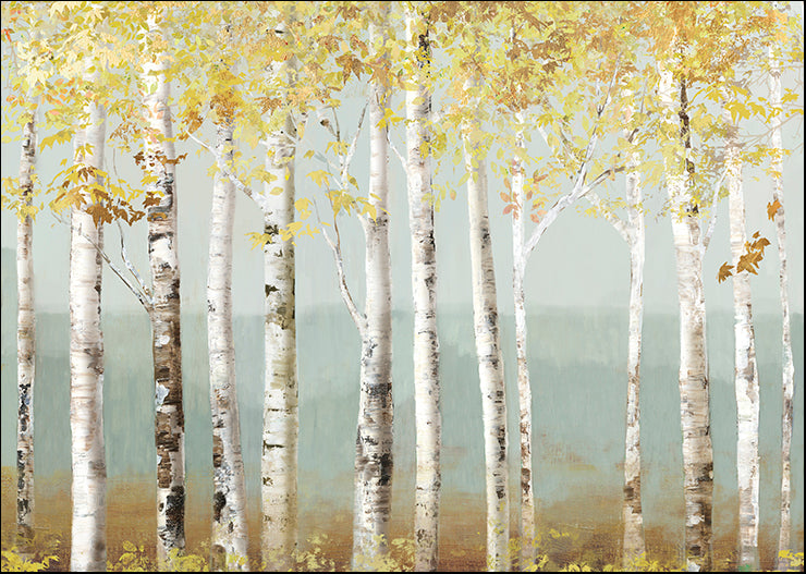 PS063-A Soft Birch, available in multiple sizes