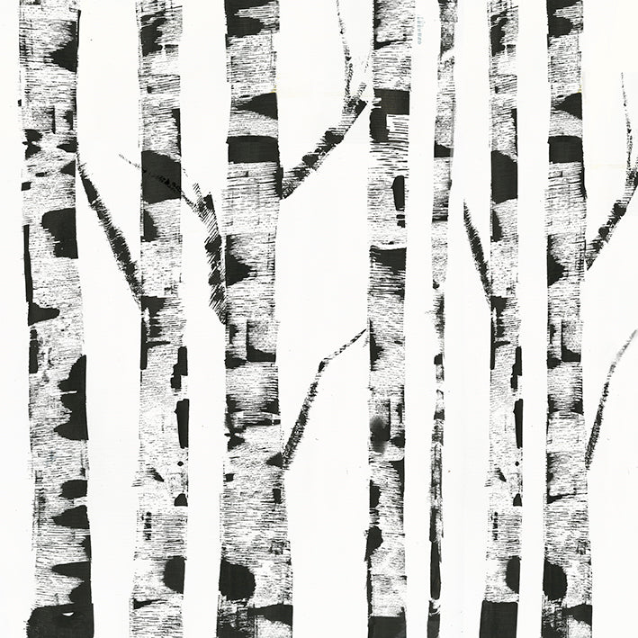 PU121-A - White Birch, available in multiple sizes
