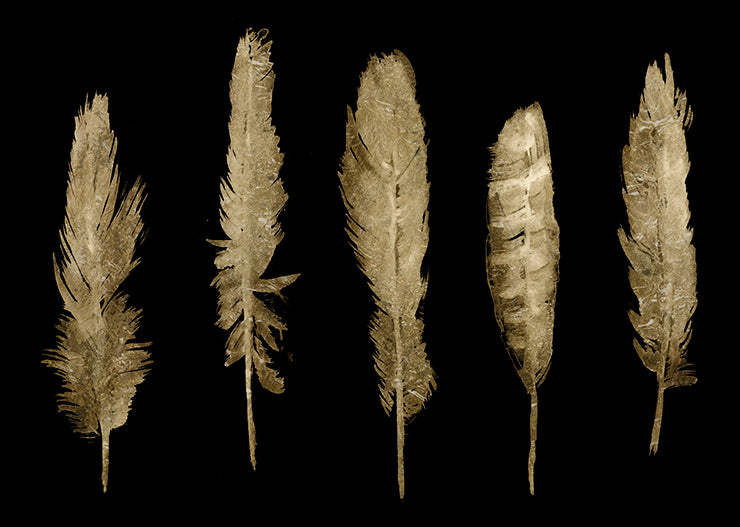 PX102-A Gold Feathers II, available in multiple sizes