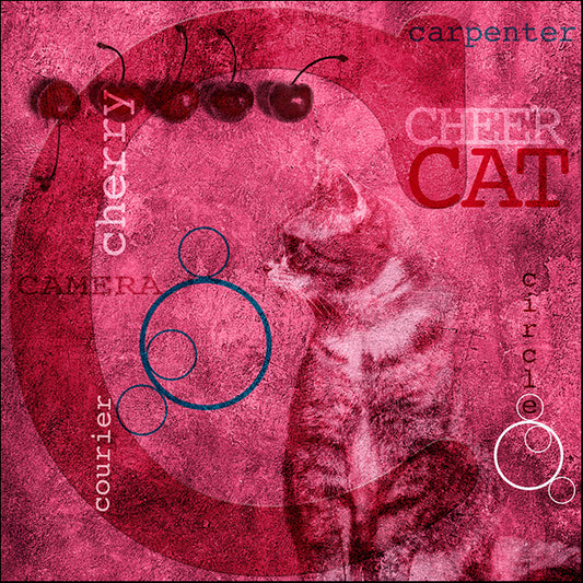 88085 The Letter C, by Photography PH Viola, available in multiple sizes