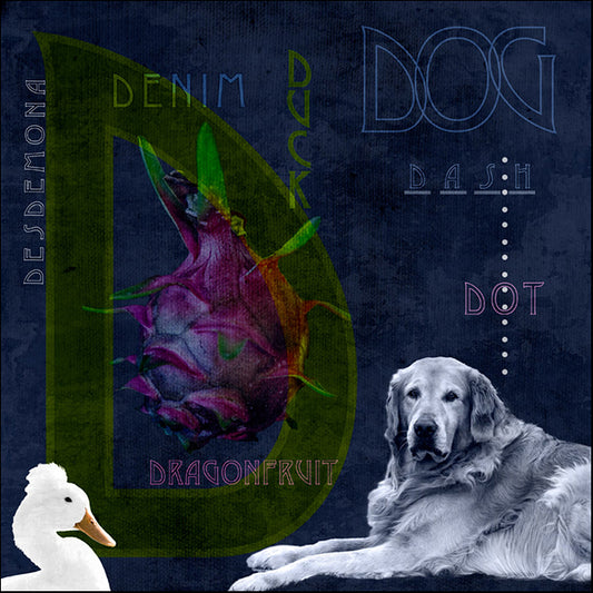 88086 The Letter D, by Photography PH Viola, available in multiple sizes