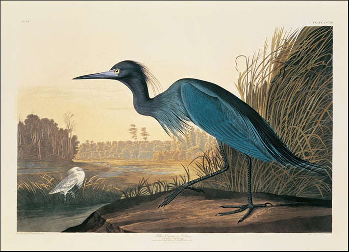 81461 Blue Crane or Heron Plate 307, by Porter, available in multiple sizes